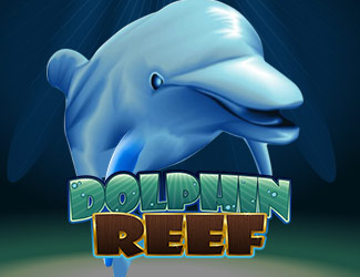 ninegames_dolphin_reef 迈博体育娱乐海豚乐园